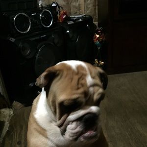 Meet your Posher, Leticia